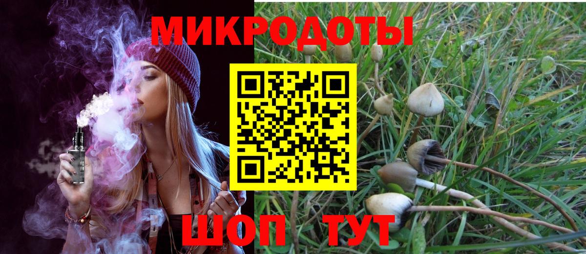Галлюциногенные грибы мухоморы Славянск-на-Кубани